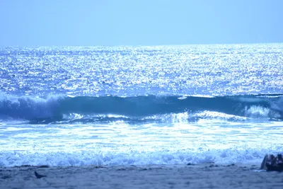 DSC_5000 (Large).JPG